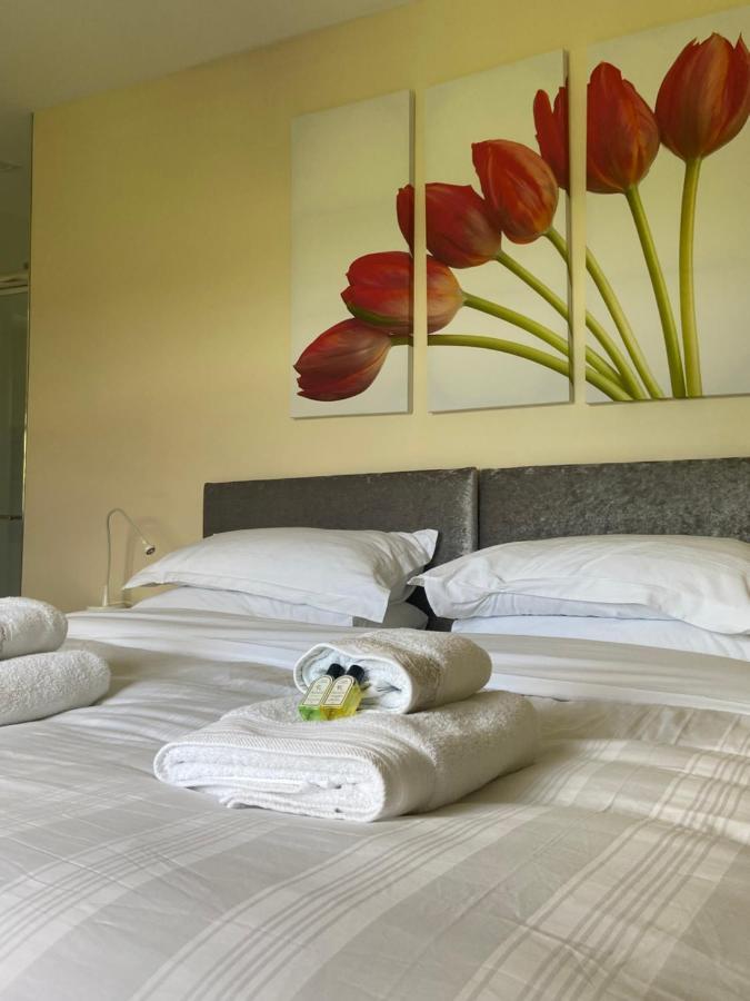 Ashbrook House Apartments دونجانون المظهر الخارجي الصورة